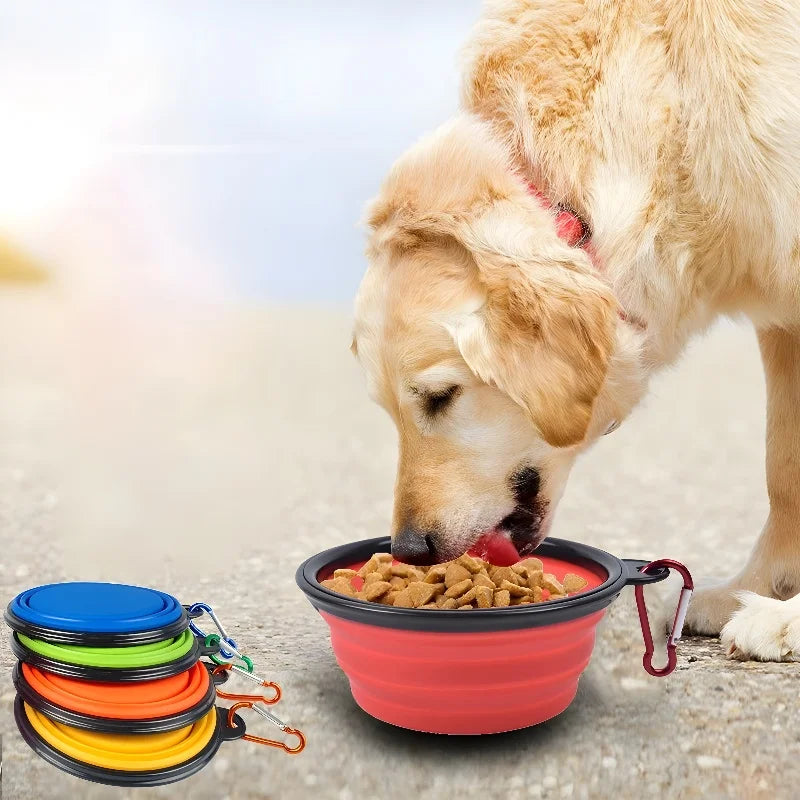 Pet Dog Collapsible Feeder Bowl